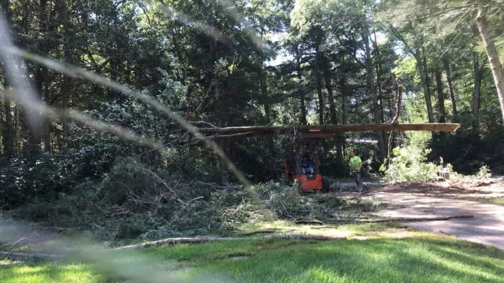 Compact loader carrying a long tree trunk section while a worker stands nearby in a wooded residential yard
