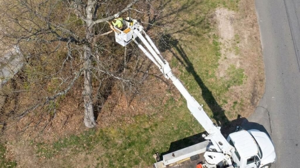 Drone View of Tree Work Near Me Along Residential Road in Bethany Connecticut