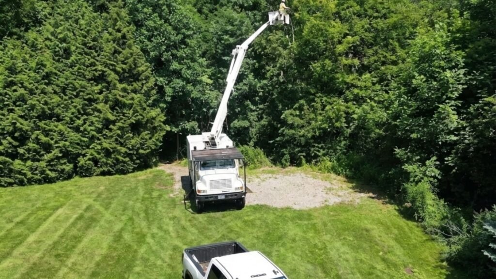 Drone View of Tree Work Near Me With Bucket Truck in Ansonia Connecticut