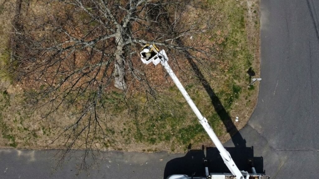 Drone View of Tree Work Near Me Along Residential Road in Bethany Connecticut