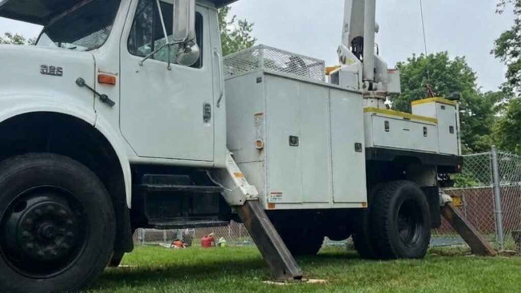 Top Recommended Professional Tree Removal Near You in Bridgewater Connecticut