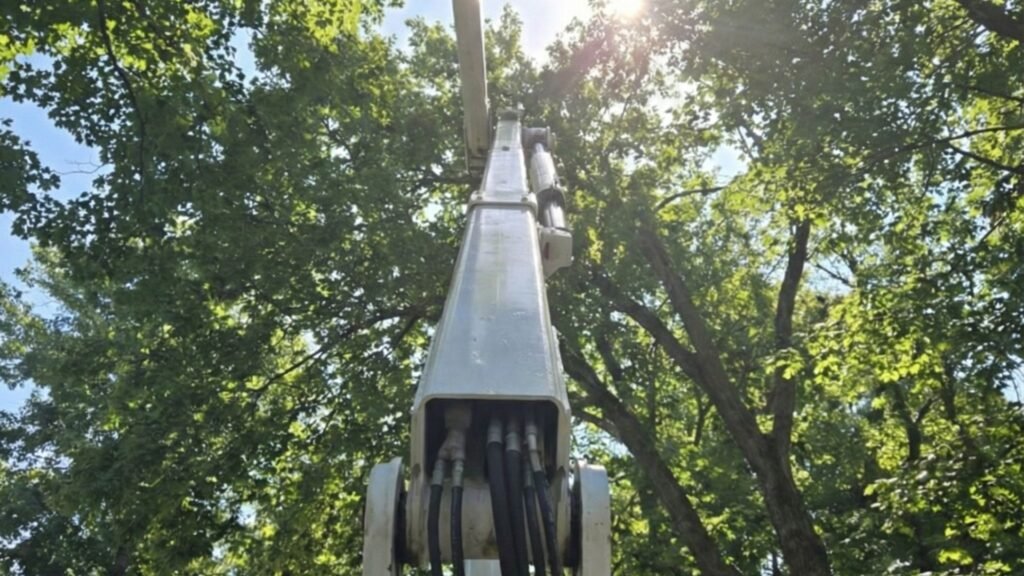 Hydraulic Boom and Bucket Positioned for Safe Tree Work in Monroe Connecticut