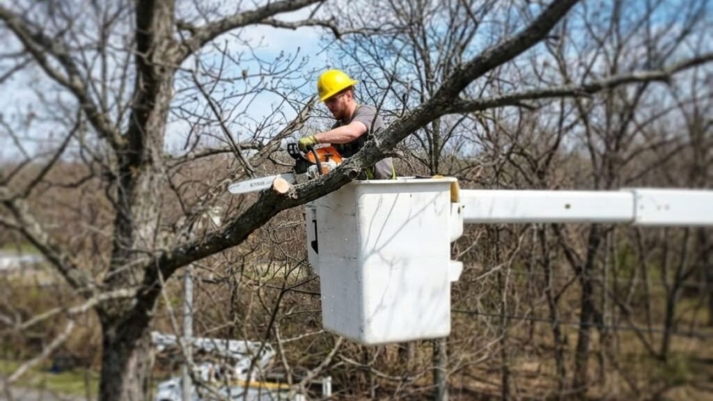 Tree Services Near Me with Elevated Bucket Truck in Bethany Connecticut