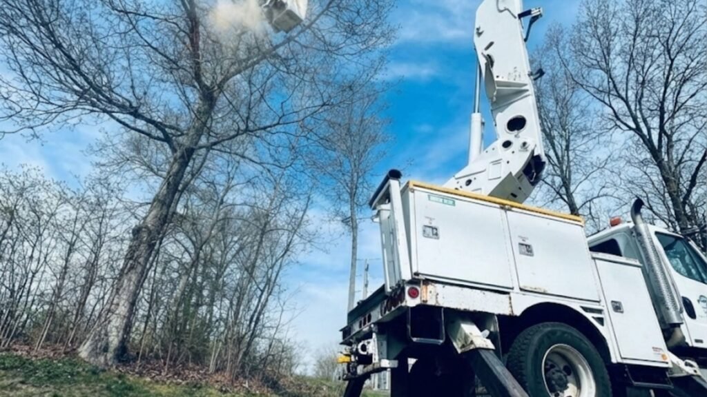 Residential Tree Services Near Me with Bucket Truck in Bethany Connecticut