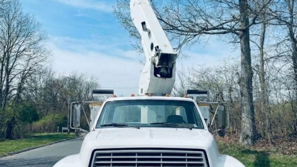 Tree Removal Equipment Near You in Bethany Connecticut