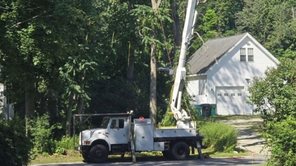 Bucket Truck Lifting Arbor Worker for Safe Tree Removal in Monroe Connecticut