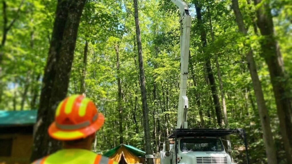 Tree removal crew coordinating bucket truck work at a wooded residential site in Woodbury Connecticut