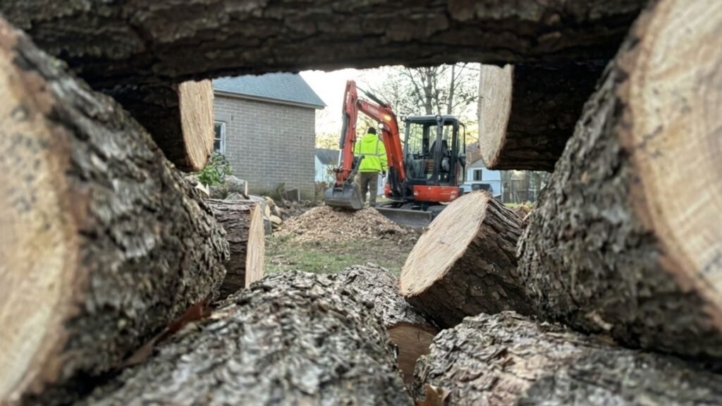 Excavator visible through stacked logs during residential tree removal in Seymour Connecticut