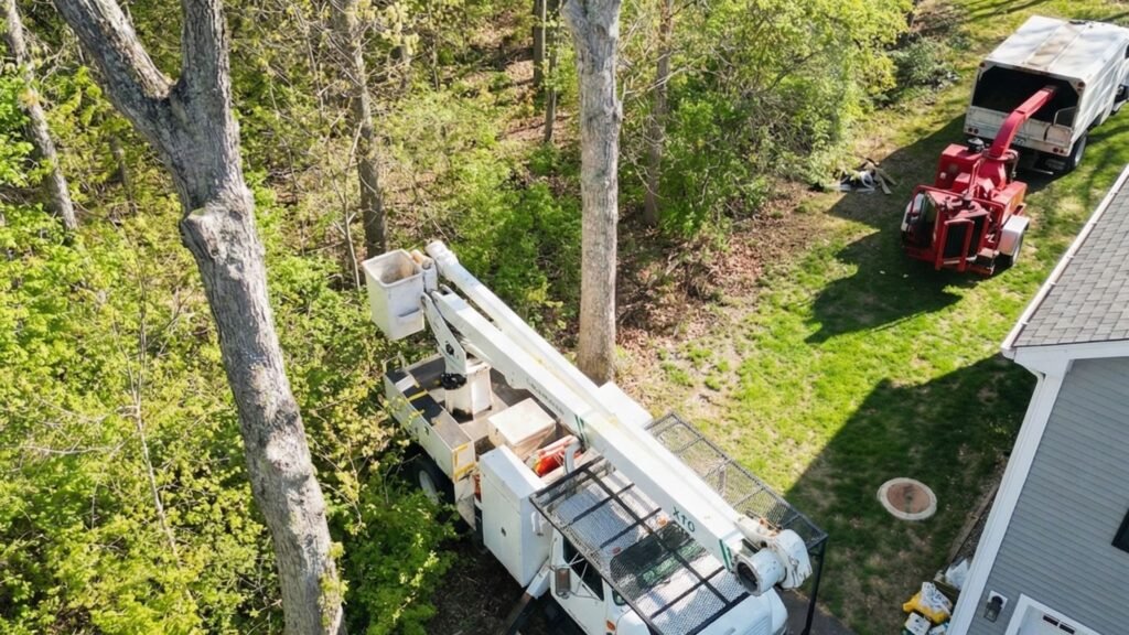 Aerial view of bucket truck positioned beside tall trees during residential tree removal in Roxbury Connecticut