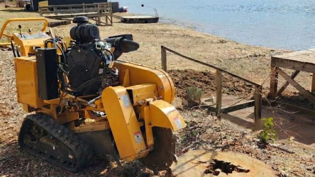 Track Stump Grinder Removing Tree Stump in CT