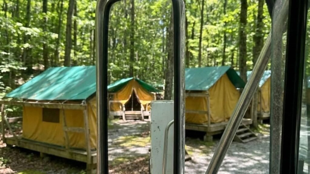 View from cabin porch showing tree removal truck and bucket lift in Woodbury Connecticut