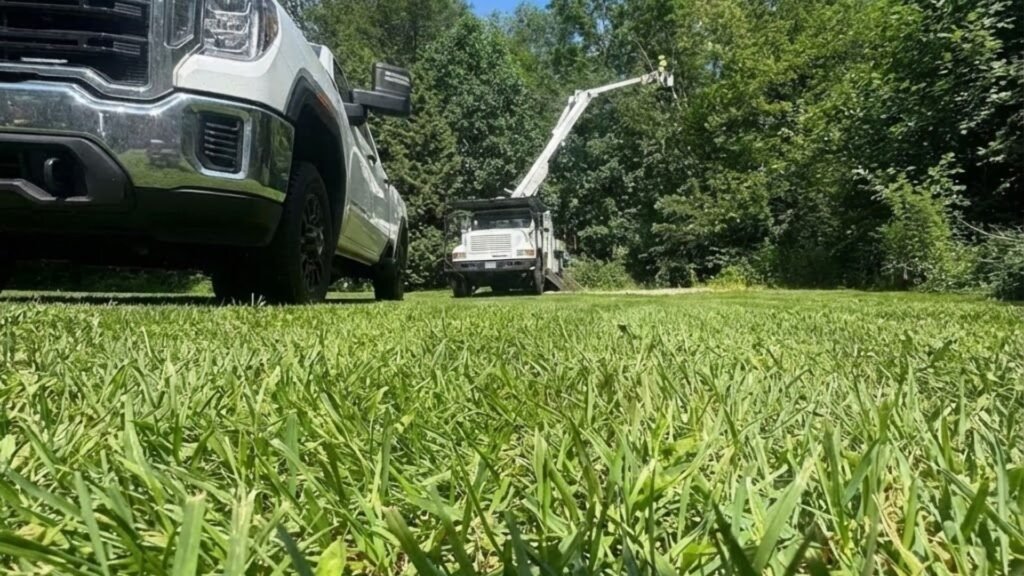 Tree Work Near Me With Bucket Truck Seen From Ground in Ansonia