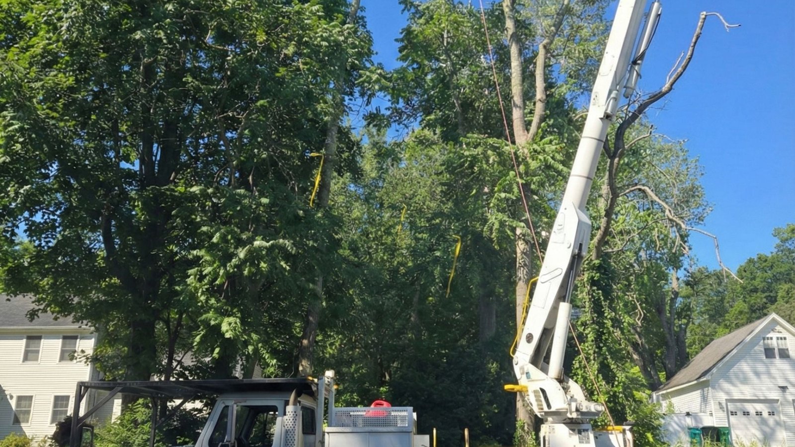 Bucket Truck Lift Extended for Professional Tree Removal in Monroe Connecticut