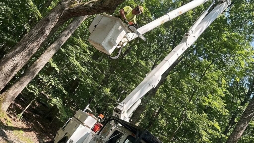 Bucket truck operator cutting tree limb during residential tree removal in Woodbury Connecticut