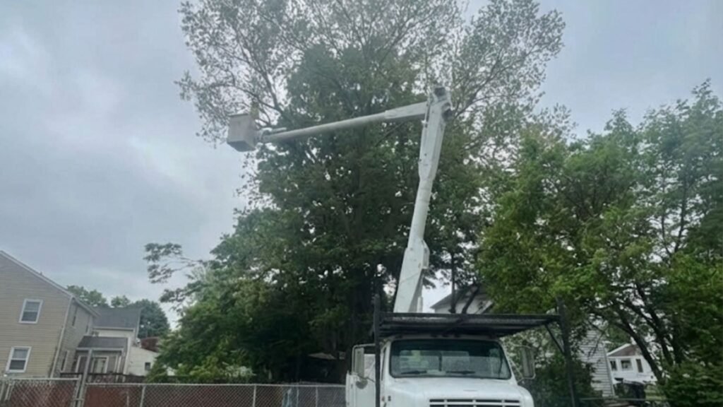 Professional tree removal truck positioned in residential yard Bridgewater Connecticut