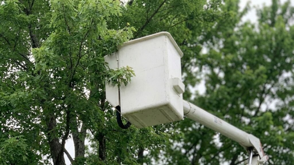 Tree Removal Near You in Oxford Connecticut with Bucket Lift