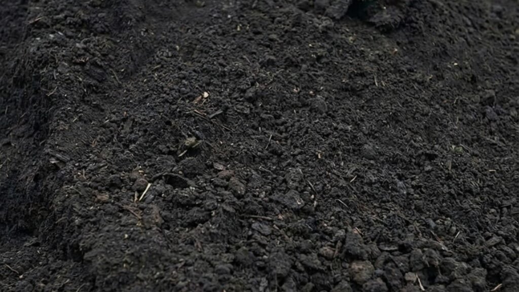 Fresh Garden Topsoil Near Me in Connecticut