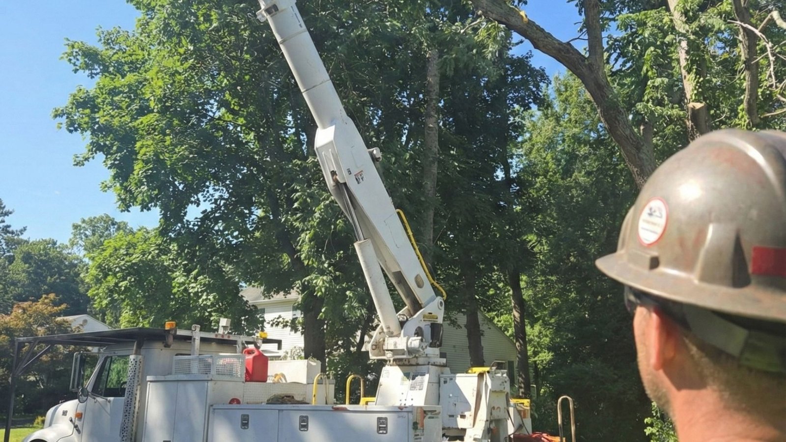 Skilled Tree Service Crew Using Bucket Lift Nearby in Monroe Connecticut
