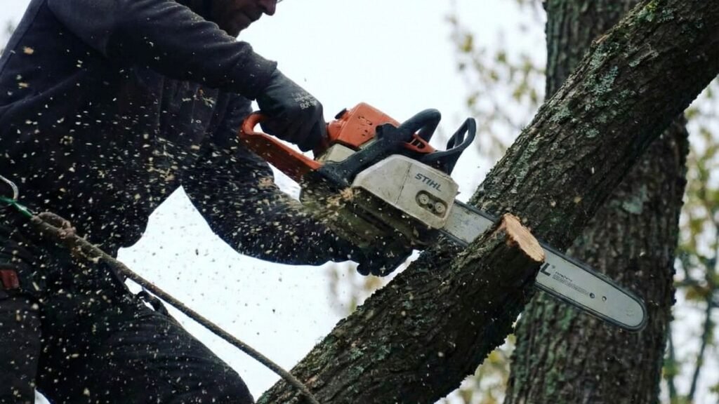Middlebury Connecticut Tree Specialist Removing Large Limb with Chainsaw