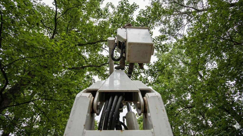 Upward view of a bucket truck boom lifting a technician for tree removal in Woodbridge Connecticut