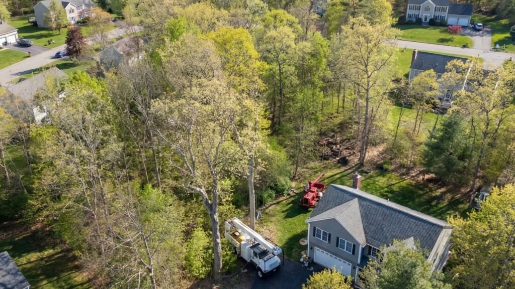 Aerial view of residential tree removal equipment positioned near a home in Roxbury Connecticut