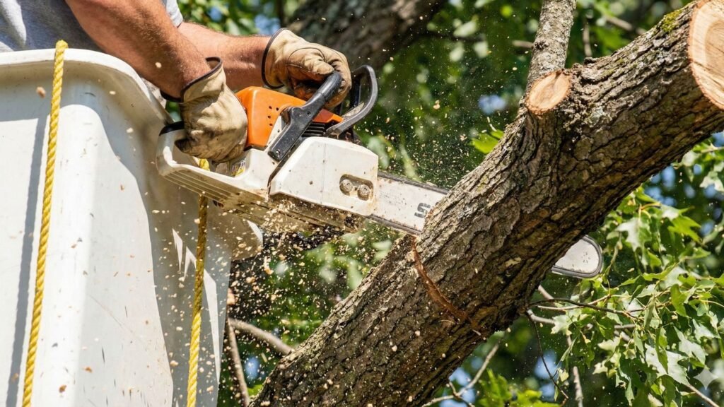 Worker cutting tree limb with chainsaw during Naugatuck Connecticut tree removal service