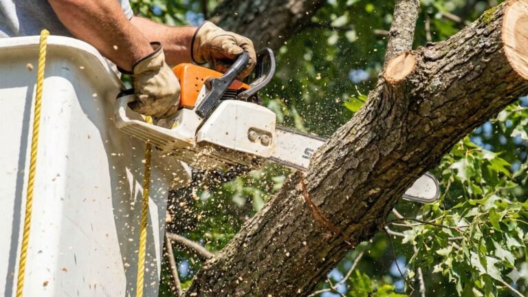 Worker cutting tree limb with chainsaw during Naugatuck Connecticut tree removal service