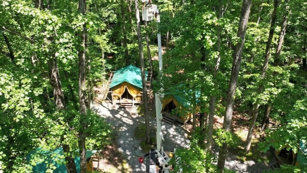 Aerial view of bucket truck accessing tall trees during residential tree removal in Woodbury Connecticut