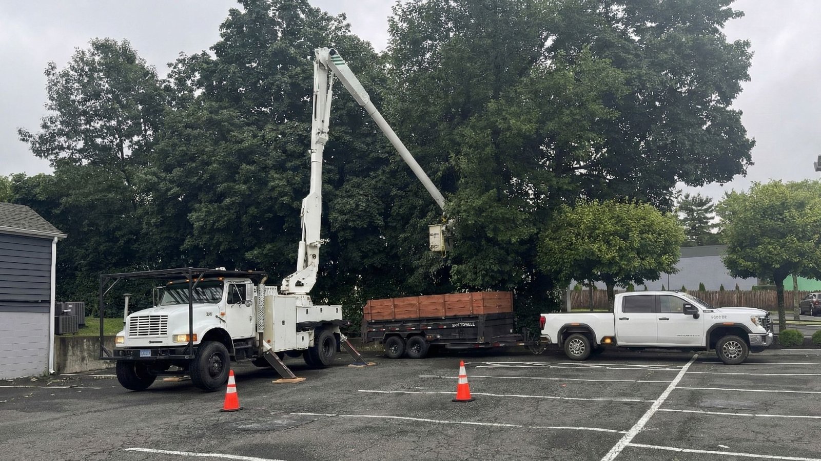 Bucket Truck and Debris Trailer Working on Connecticut Tree Removal