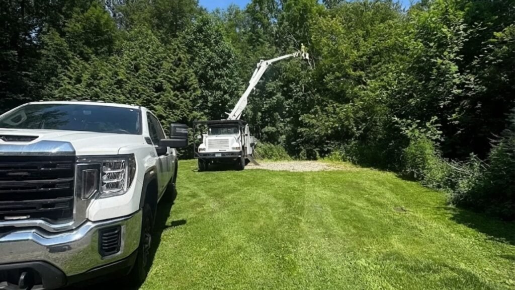 Bucket Truck Performing Tree Work Near You in Ansonia Connecticut