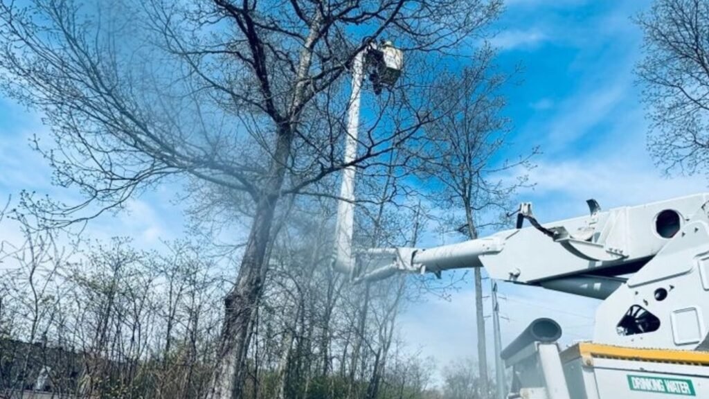 Bucket Truck Performing Tree Work Near Me Along Road in Bethany Connecticut