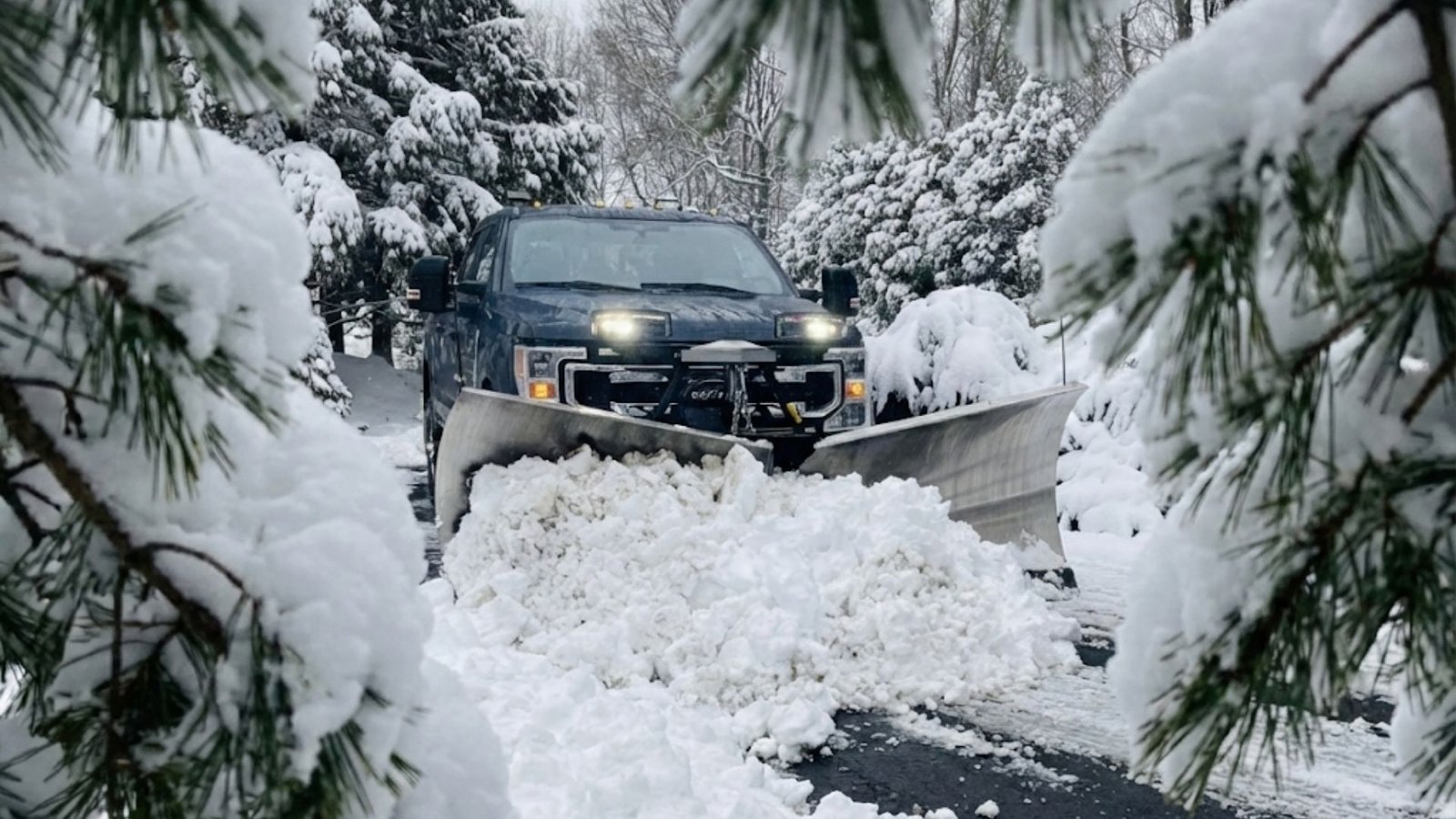 Front Plow Snow Removal CT Tree Lined Driveway