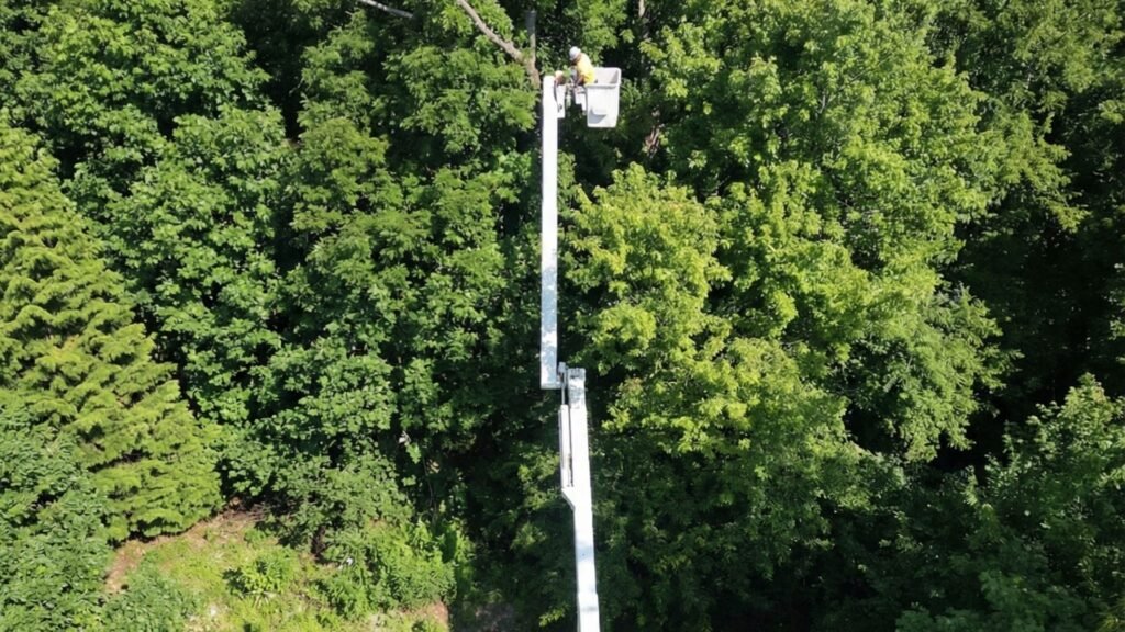 Professional Aerial Lift Tree Service Operation in Connecticut