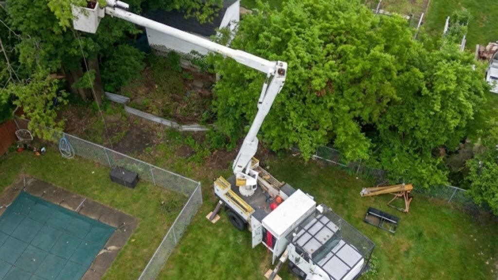 Highly Reviewed Aerial Tree Cutting Service Near You in Bridgewater Connecticut