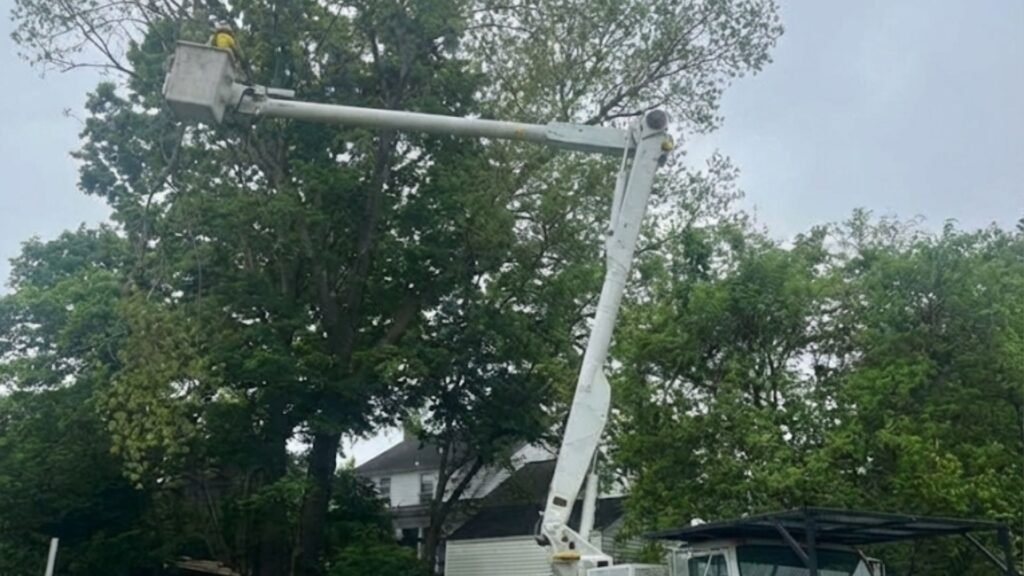 Professional bucket truck tree service in Bridgewater CT backyard