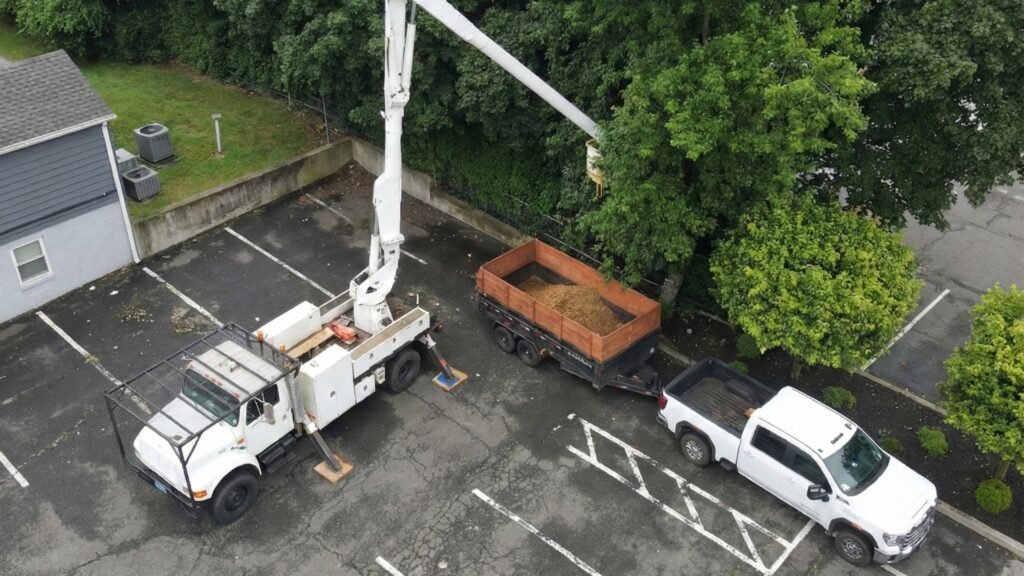 Aerial View of Bucket Truck and Dump Trailer Handling Tree Removal in Connecticut