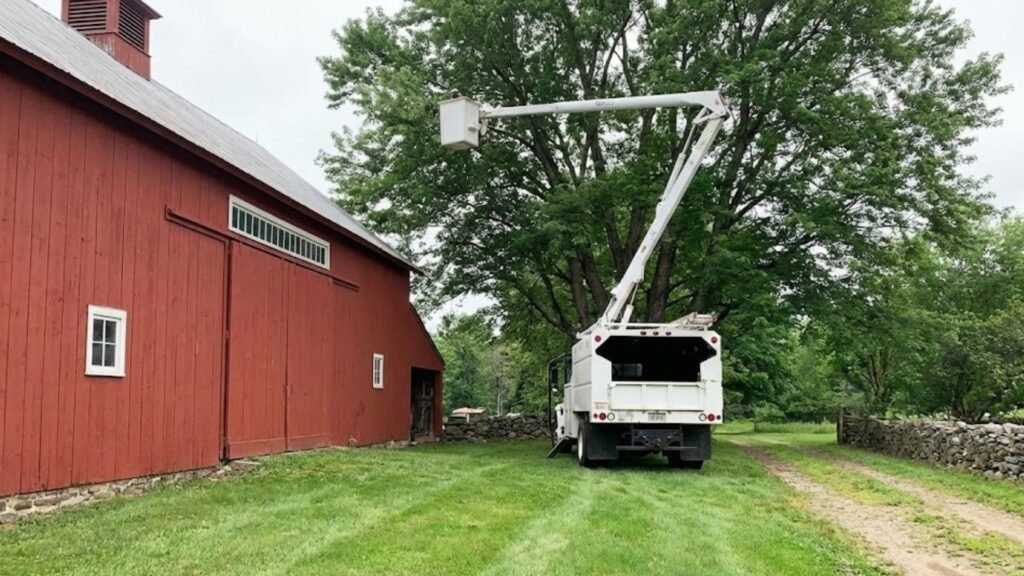 Bucket Truck Tree Removal Service Near Me in Oxford Connecticut