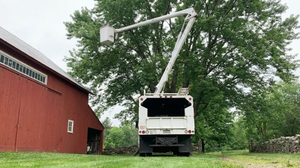 Bucket Truck Tree Removal Near Me in Oxford CT