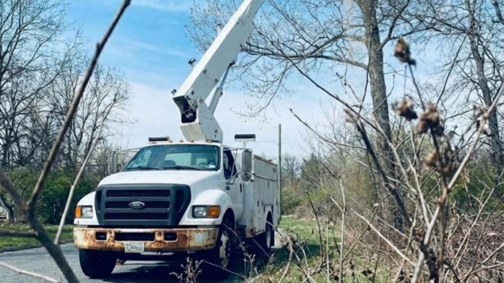 Residential Tree Cutting Near You in Bethany Connecticut