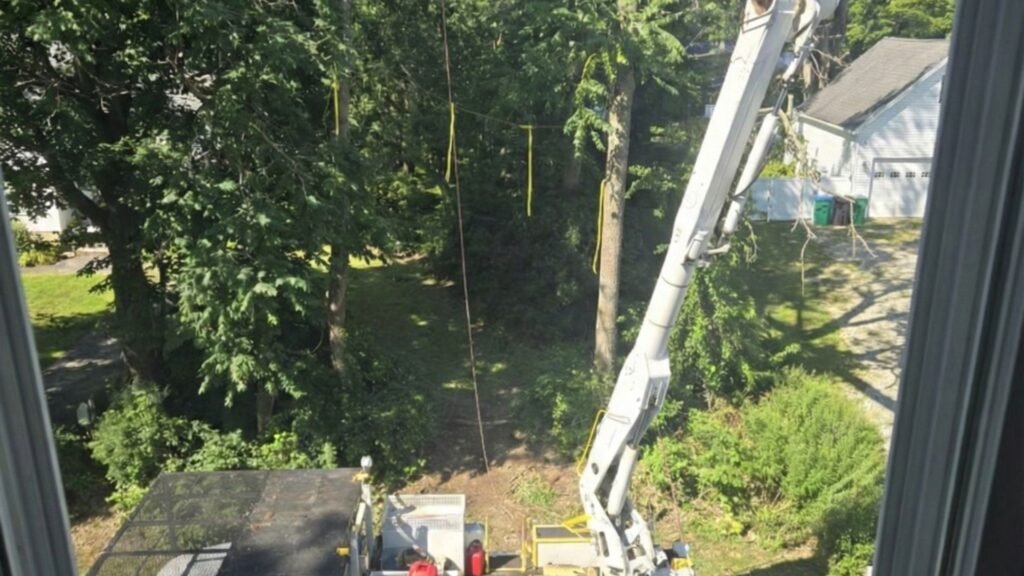 High-Reach Tree Removal Bucket Lift Near Me in Monroe Connecticut