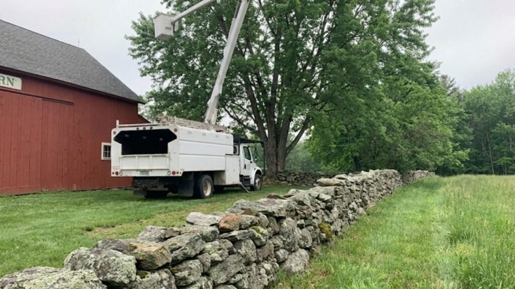 Bucket Truck Setup for Tree Work Near You in Oxford Connecticut