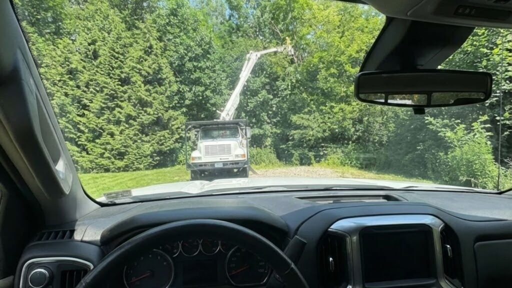 Tree Work Near Me Seen Through Vehicle Window in Ansonia Connecticut