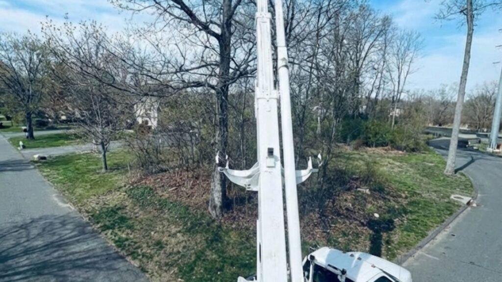 Elevated Tree Cutting Near Me with Bucket Truck in Bethany Connecticut