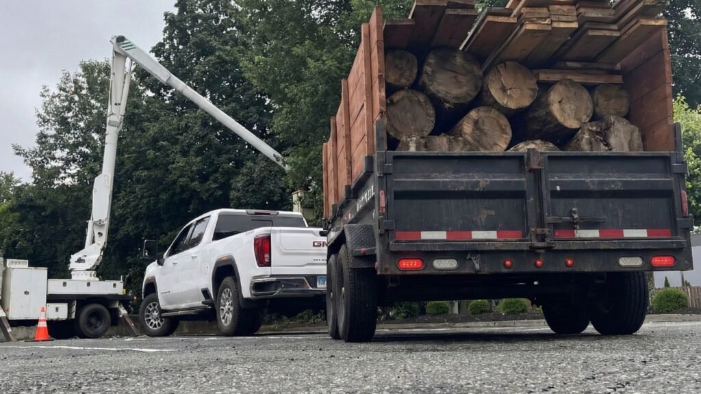 Dump Trailer Filled With Large Logs During Connecticut Tree Removal